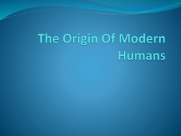 Out-of-Africa Theory: The Origin Of Modern Humans