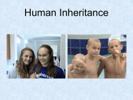 Human Inheritance