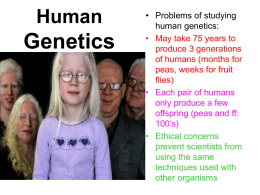 Human Genetics ppt