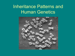 Inheritance Patterns and Human Genetics