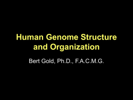Human Genome Structure and Organization