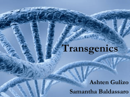 Transgenics - MsSunderlandsBiologyClasses