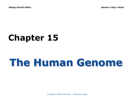 Chapter 15 The Human Genome