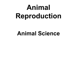 Animal Science Unit 2b: Animal Breeding