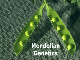 Genetics - TeacherWeb