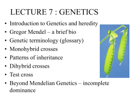 Lecture 7: MENDELIAN GENETICS