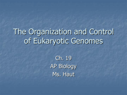 Ch. 19 The Organization and Control of Eukaryotic Genomes