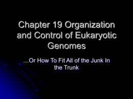 Chapter 19 Organization and Control of Eukaryotic Genomes
