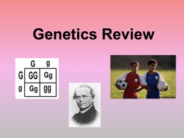 Genetics Review Who is the
