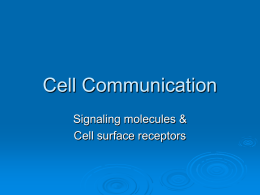 Cell Communication PowerPoint