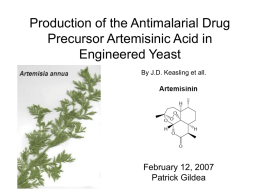 Production of the Antimalarial Drug Precursor