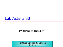 Lab_36 - PCC - Portland Community College