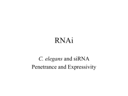 RNAi