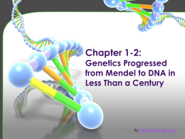 Chapter 1-2: Genetics Progressed from Mendel to DNA in Less Than