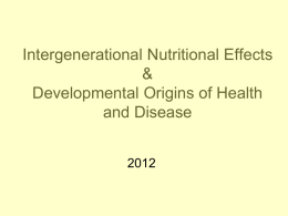 Intergenerational Nutrition Effects & Fetal Origins of chronic disease