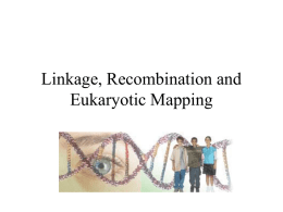 Ch 7 (part 1) Linkage and Gene Mapping