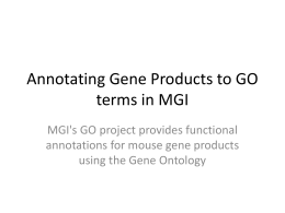 Annotating Gene Products to GO terms in MGI