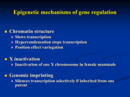 Epigenetic mechanisms