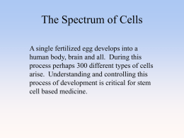 cellSpectrum