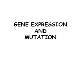 Gene Expression/Mutations
