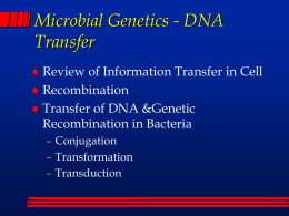 Microbial Genetics - Gene Transfer