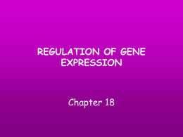 Notes Regulation Gene Expression Shortened AP