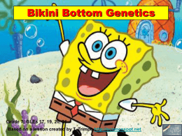 Sponge Bob Genetics Review Game