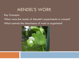 Mendel`s Work - ScienceRocks8
