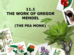 11.1 the work of gregor mendel