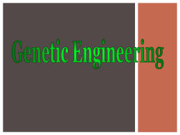 geneticengineering fall 2012 genetics unit