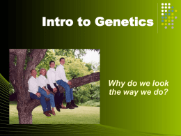 Genetics - I Heart Science