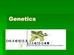 26. Genetics Intro Notes