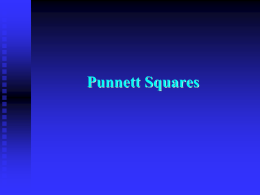 Punnett Squares