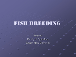 Selective breeding