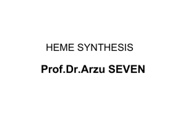 HEM SYNTHES  S1.31 MB