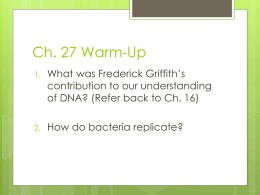 Chapter 27 Bacteria