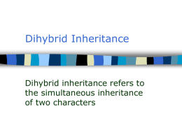 Dihybrid Inheritance