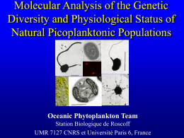 Oceanic Phytoplankton Team