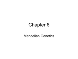 Mendelian Genetics notes