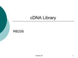 cDNA Library