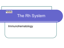 The Rh System