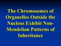 Cells can contain one type or a mixture of organelle genomes