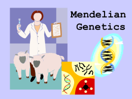 Mendelian Genetics Part 1