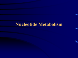 Nükleotid Metabolizması - mustafaaltinisik.org.uk