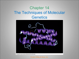Chapter 15 The Techniques of Molecular Genetics