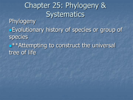 Chapter 25: Phylogeny & Systematics