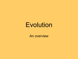 Evolution - MACscience