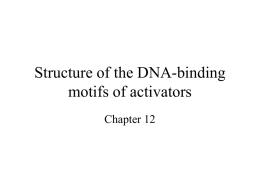 Structure of the DNA-binding motifs of activators
