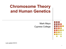 Chromosome Theory and Human Genetics