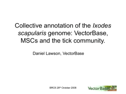 Annotation of vector genomes, the Aedes aegypti model